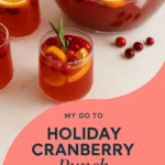 My Go To Holiday Cranberry Punch Recipe