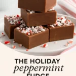 The Holiday Peppermint Fudge Pinterest Cant Stop Saving